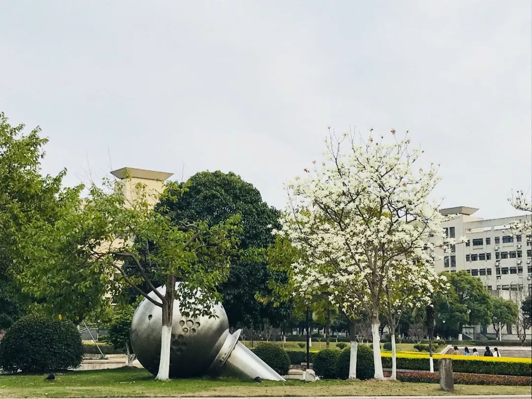 浙传复试经验贴：等春风十里，不如你在浙里