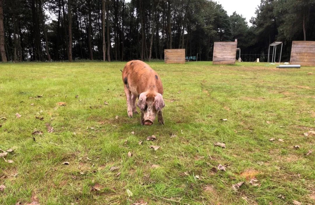 这大概是全世界最无聊的人了