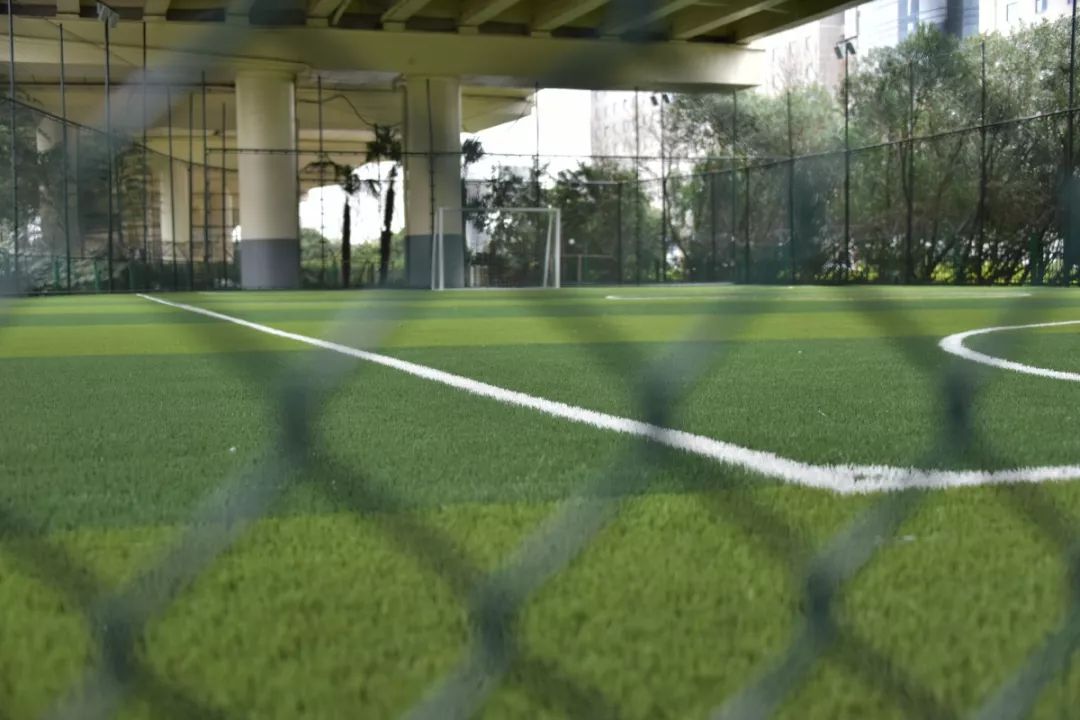 新虹桥中心花园怎么样,上海新虹桥中心花园有跑道吗