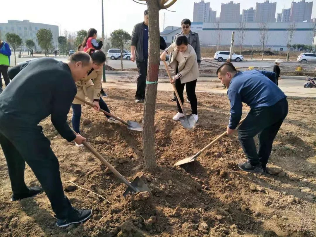 阳春三月暖植树绿化正当时,阳春三月草长莺飞栽几株树