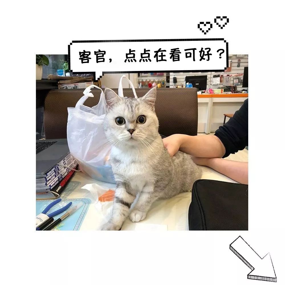 idw威震天拼装,威震天风雷模型