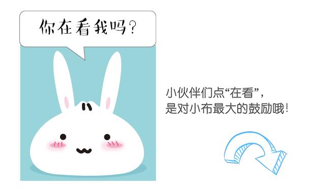 百万市民看奉贤,上海百条线路图