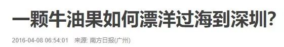 牛油果的世纪大骗局,牛油果骗局被揭开不是健康食品