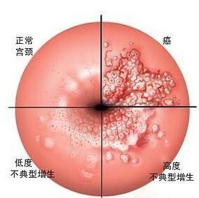 妊娠期检查,妊娠期检查项目