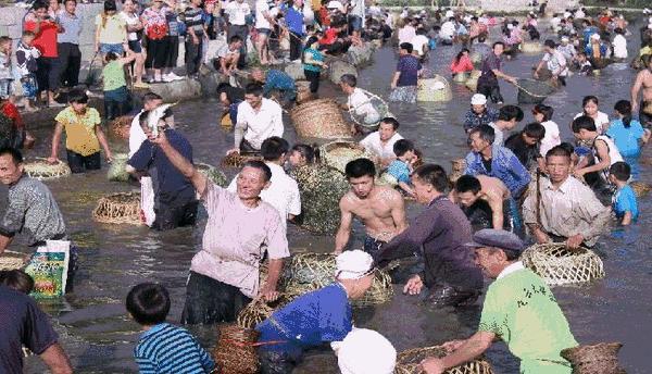 寻乡·觅趣||金色花海、花田美食...游仙芙蓉花溪葵花节等你来狂欢！