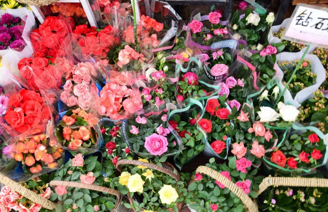 西安最大花卉交易市场,西安朱宏路丰产路巨坤花卉市场