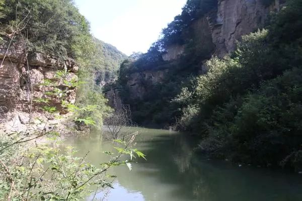 郑州周边踏青采摘野菜,郑州自驾踏青赏花好去处