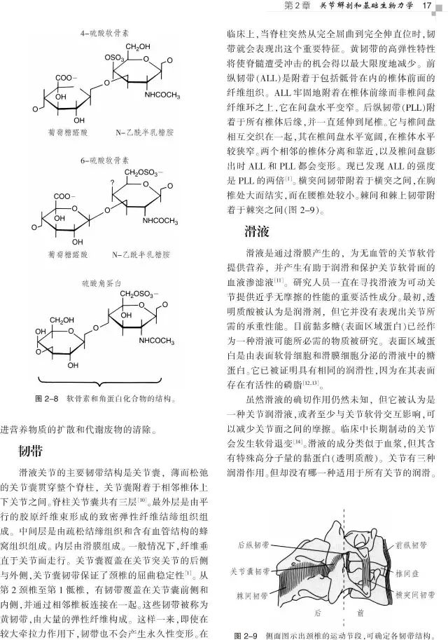 好书推荐|风靡全球的美式整脊教科书，了解整脊技术的必备参考——《美式整脊技术:原理与操作,引进版~中译本,第3版