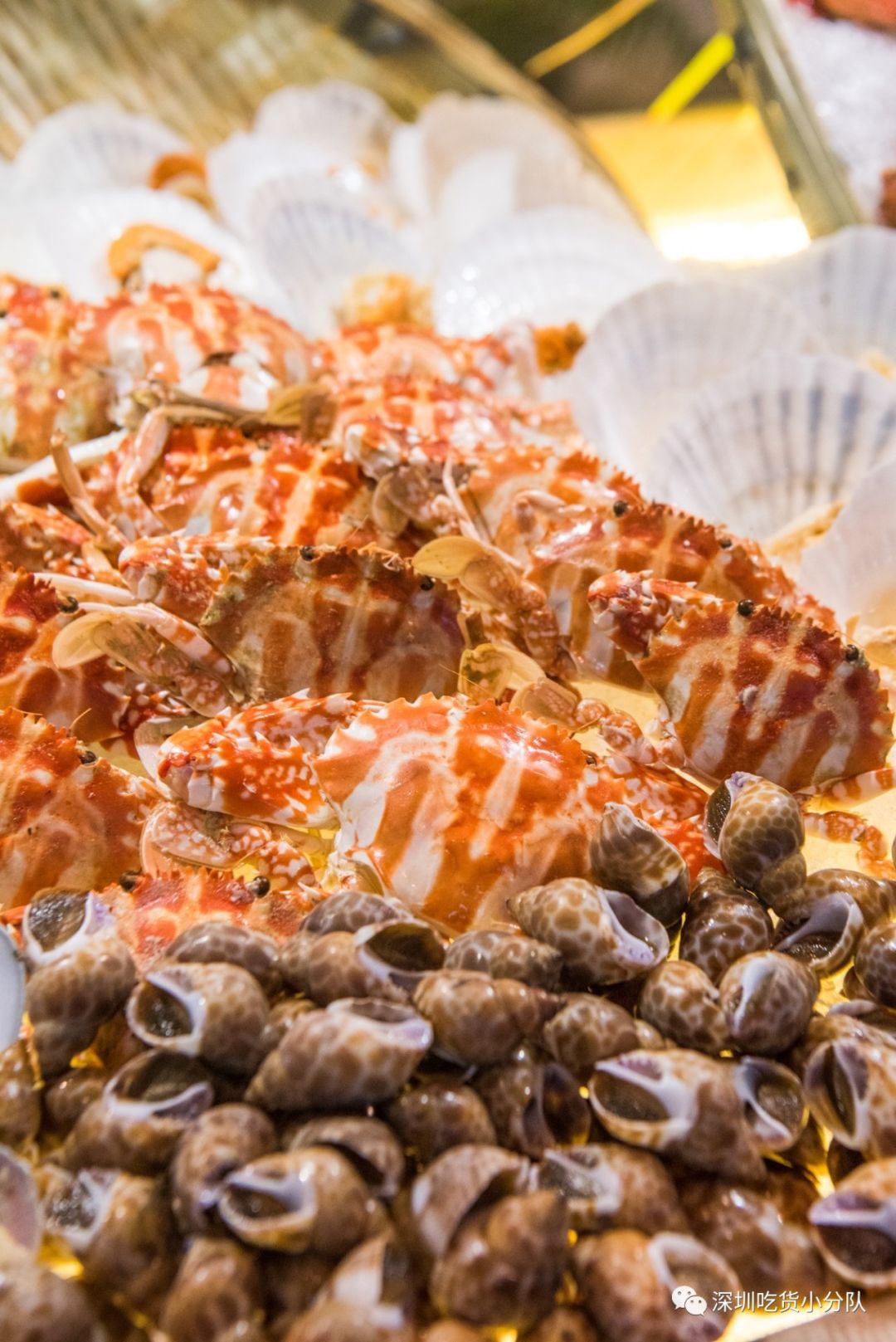 石家庄希尔顿生蚝,增城希尔顿逸林酒店生蚝刺身