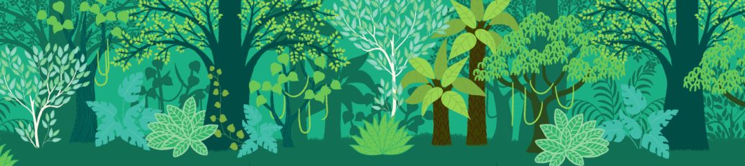 团|这套贴纸涂色书，我专程从中国带到了英国！