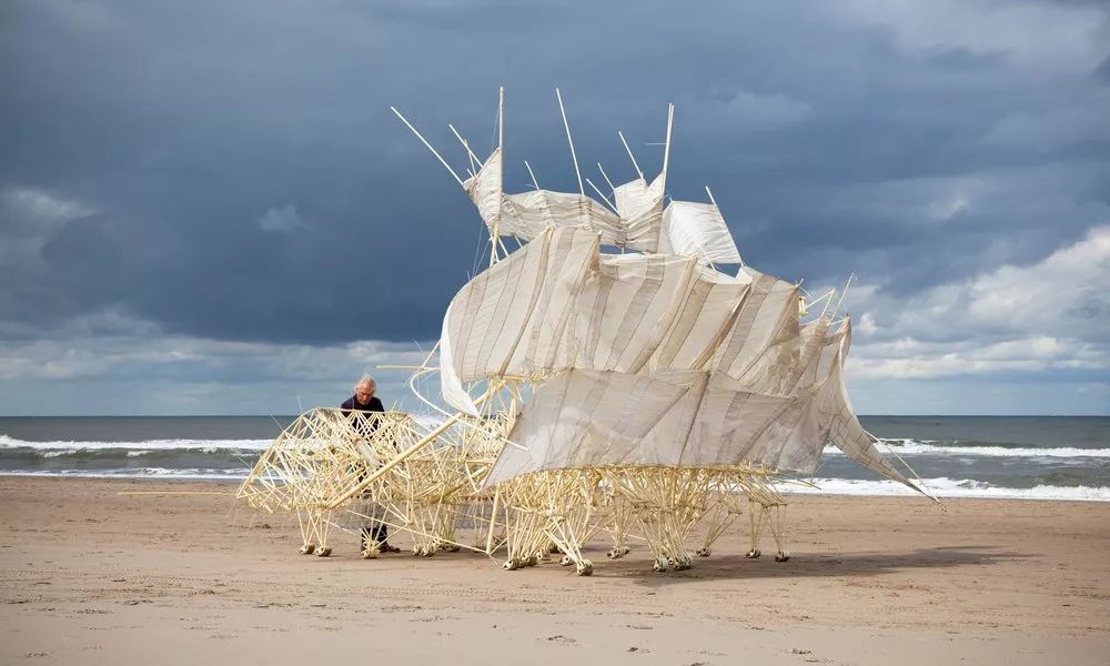海边，他养了一群吃风的怪兽