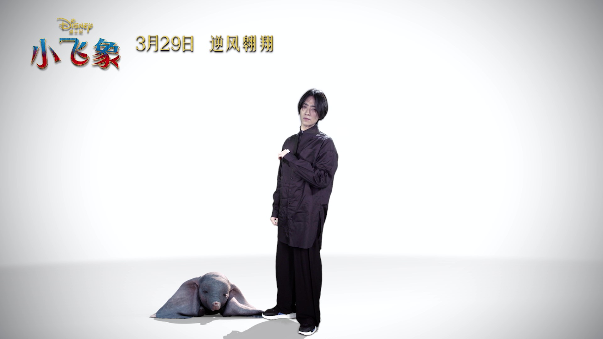 揭秘大龙小飞象幕后趣事，首波“飞”一般口碑揭晓答案