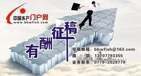 水中常见的藻类微生物图片,藏在水下的生物