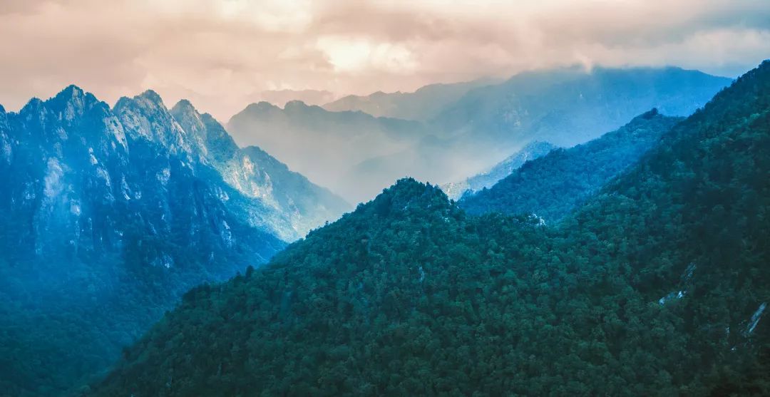 中国897个国家森林公园