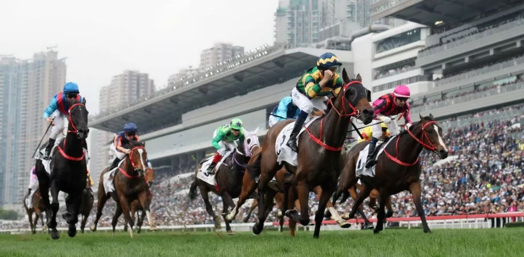 怎样的赛马日,可以吸引六大洲十四地区一百一十一匹星级赛驹报名!