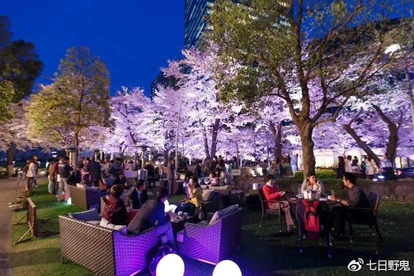 2019年日本大赏排行榜,2018全日本赏樱花旅游攻略