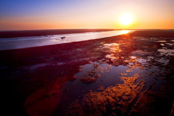 沈阳周边景色优美的地方,沈阳周边好看的风景