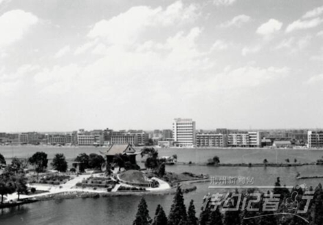 特约记者行最新视频,特约记者行俯瞰荆州醉美油菜花海