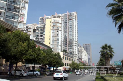 特约记者行最新视频,特约记者行俯瞰荆州醉美油菜花海