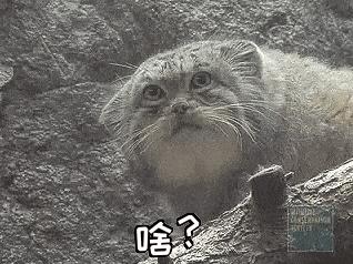 南方回南天潮湿到怀疑人生,南方的回南天潮湿