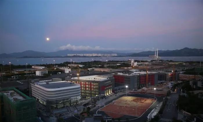 八一八小学,八一小学南山校区地址