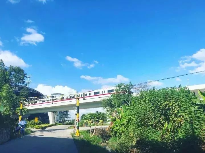 广州适合春游的免费景点,春游广州最适合去的地方