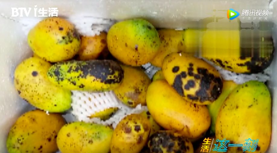 被奶茶毁掉的中国女孩儿,让奶茶毁掉的中国姑娘