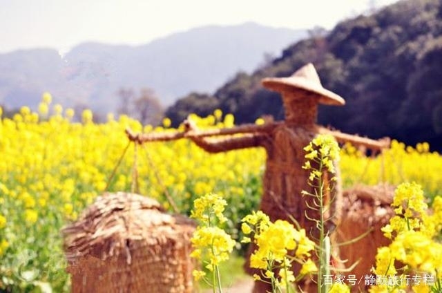 春天一定不能错过的美景,春天到了好玩的地方可多了