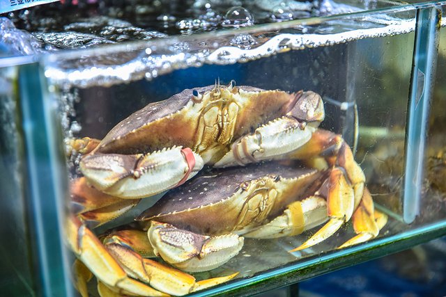 四川去三亚5天4晚自由行网红打卡,三亚旅游网红打卡地点推荐