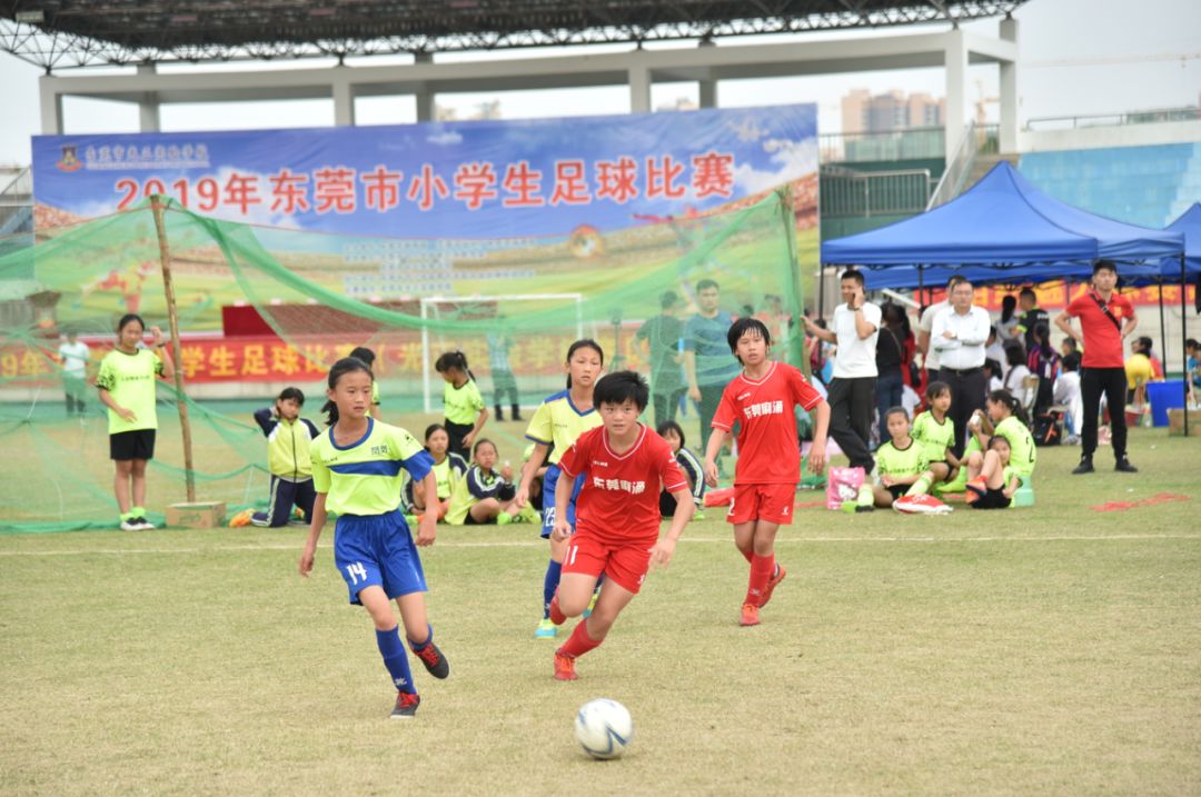 东莞市2022年小学足球比赛排名,2024东莞市小学生足球锦标赛