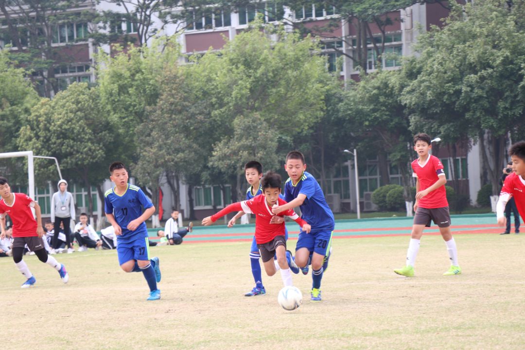 东莞市2022年小学足球比赛排名,2024东莞市小学生足球锦标赛