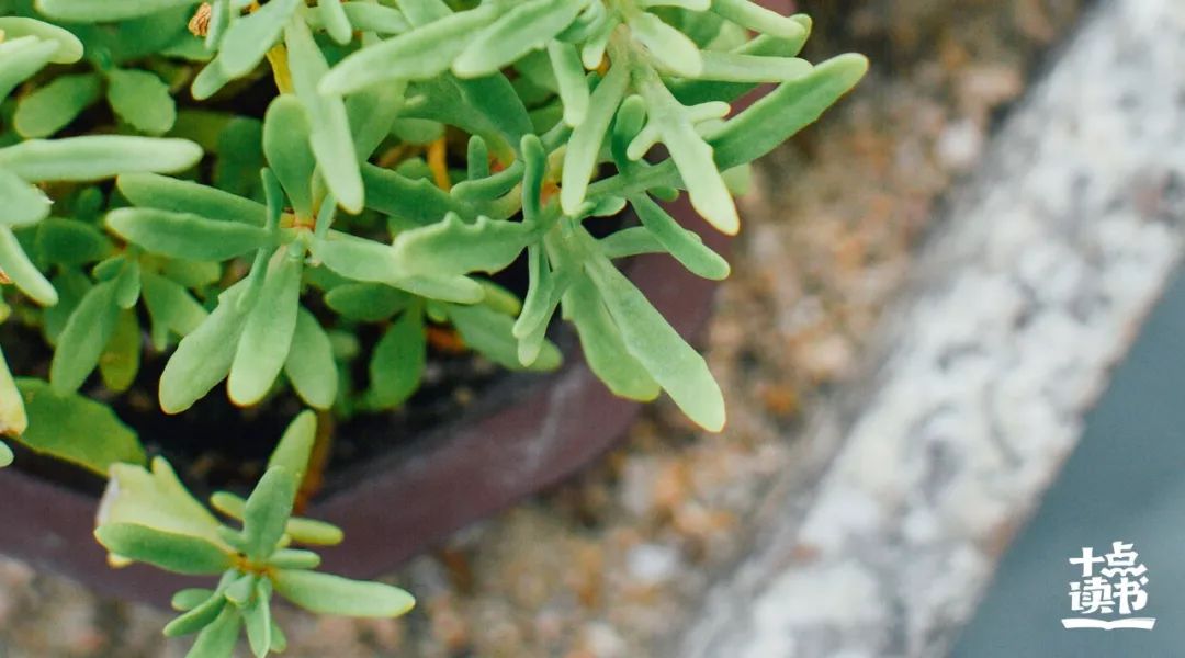 人到四十做到三不比三不言三不争,人到四十三不比三不言三不争图片