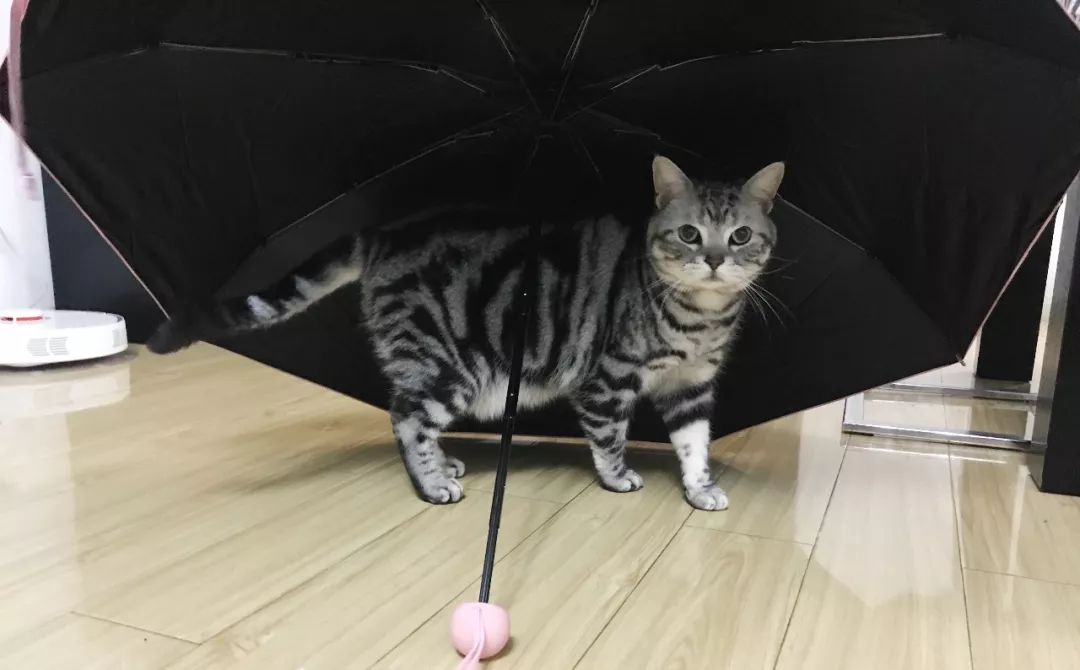 今年夏天到底买什么防晒,夏天到了有哪些防晒值得入手