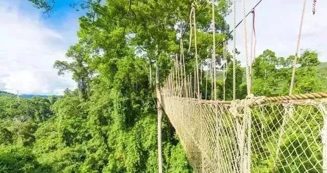 沈阳飞西双版纳直飞几个小时,沈阳直飞西双版纳机票多少钱