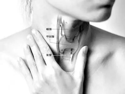 头大脖子粗不是厨子就是伙夫,脖子粗不是厨师下一句是什么