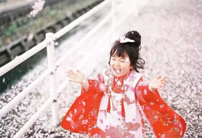 日本有关樱花的照片,日本最美樱花图