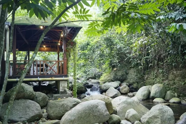 马来西亚猫山王详细攻略,尝一口香甜的马来西亚猫山王