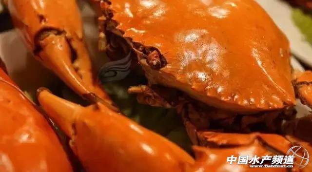 海鲜不可以吃的是哪些,海鲜禁忌你知道多少