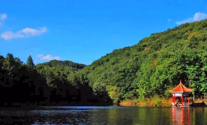 免票或半价！全国几百个景区集体降价，河南有这些…千万别错过！