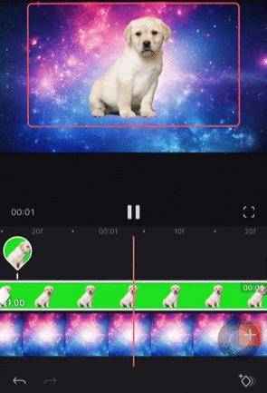 vlog必备十大app,新手做vlog必备的5个app