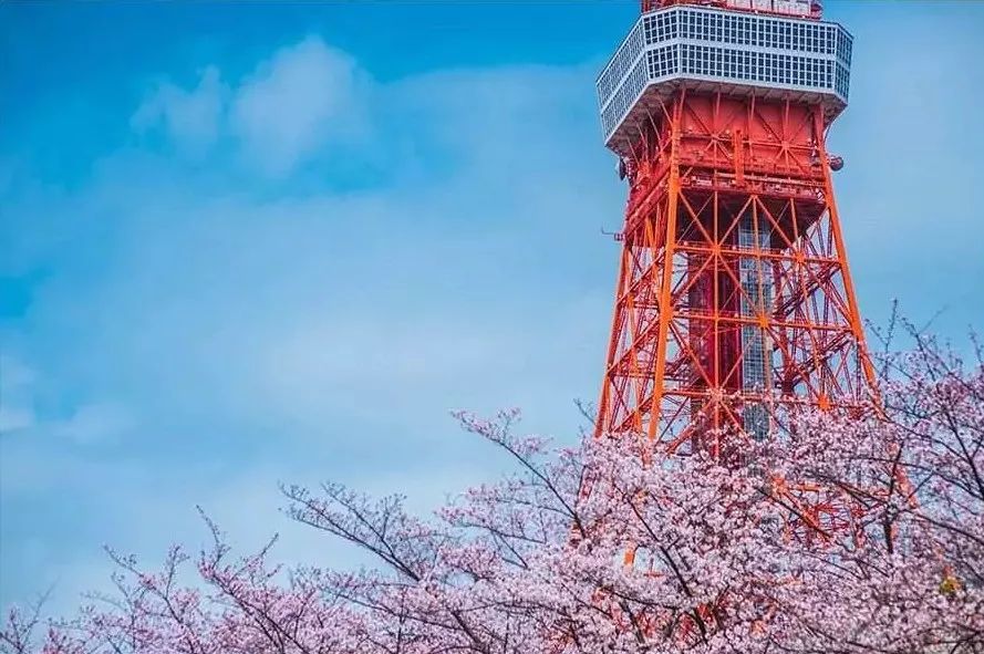 樱花季快到了赴日赏樱,樱花季太湖鼋头渚风景区赏樱攻略