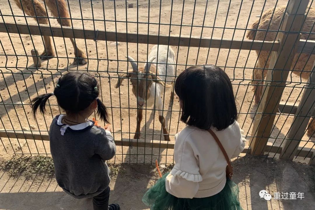 西安一个神奇的公园,西安市最值得去的免费公园景点