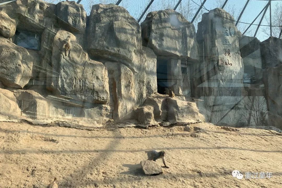 西安一个很有特色的公园,西安唯一要门票的公园