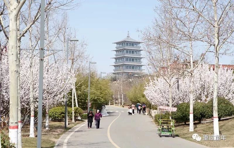 西安一个很有特色的公园,西安十大免费景区公园