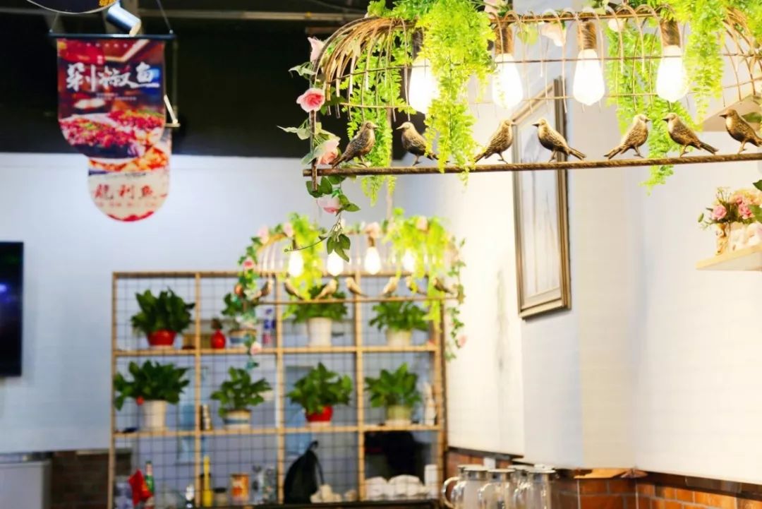 神奇动物巡展,昌吉环宇邻里中心