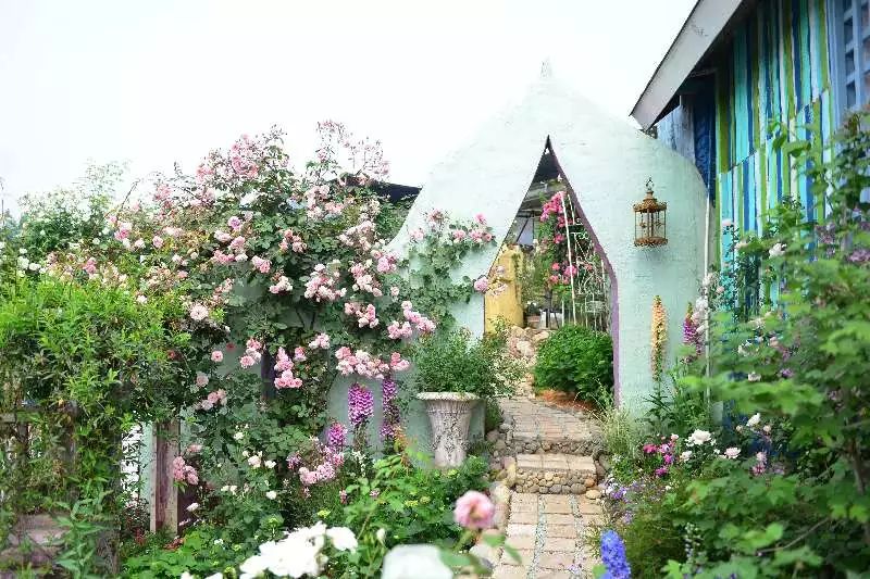 麻宁推荐|中国最时尚的未来花世界，拍照太出片了！