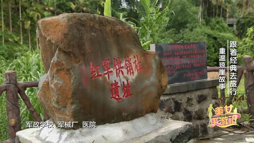 跟着我去旅行全集在线观看,跟着我去旅行原唱视频