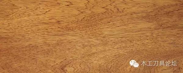 识别木材优劣家居人必备基本功,木材识别基础知识