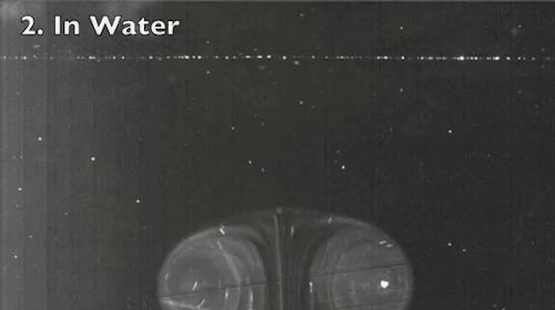 桥墩构造方法有哪些,桥墩究竟是怎么造