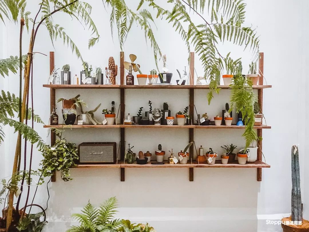 广州必吃早茶店,广州值得吃的早茶店